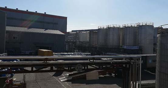 Завод по сульфированию мощностью 6 тонн в час успешно запущен в Корее